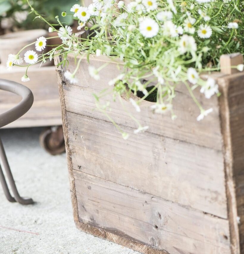Trälåda PARIS från IB Laursen fylld med vita blommor