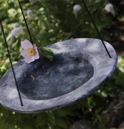 Fågelbad Gråsparv Mellan från Eldgarden i grön trädgård