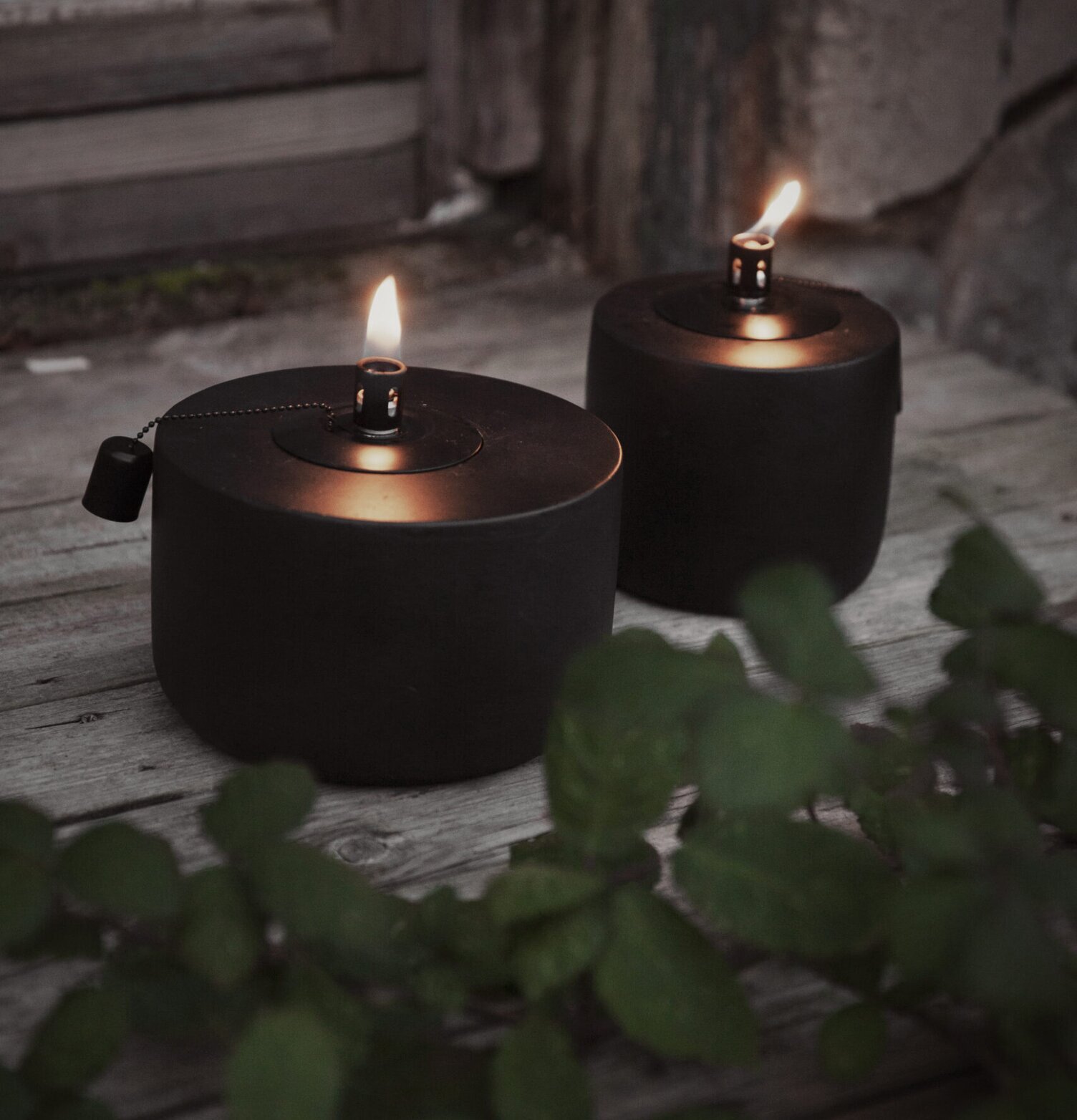 Oljelykta Svart Ernst från Ernst i rustik miljö med grönska