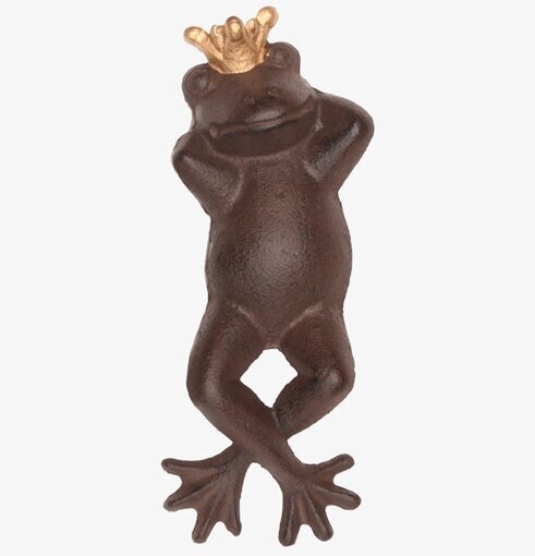 Groda Med Guldkrona från Eldgarden i avslappnad pose