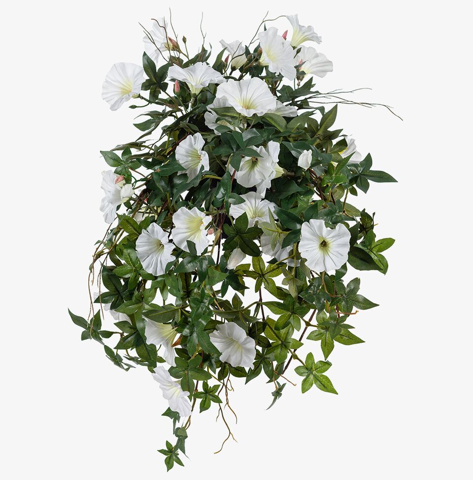 Blomma För Dagen Vit av Mr Plant, en realistisk konstväxt