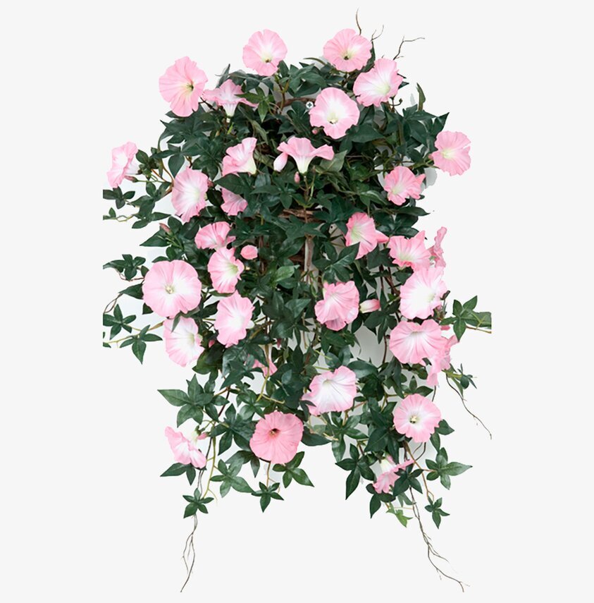 Blomma För Dagen Rosa från Mr Plant med rosa blommor