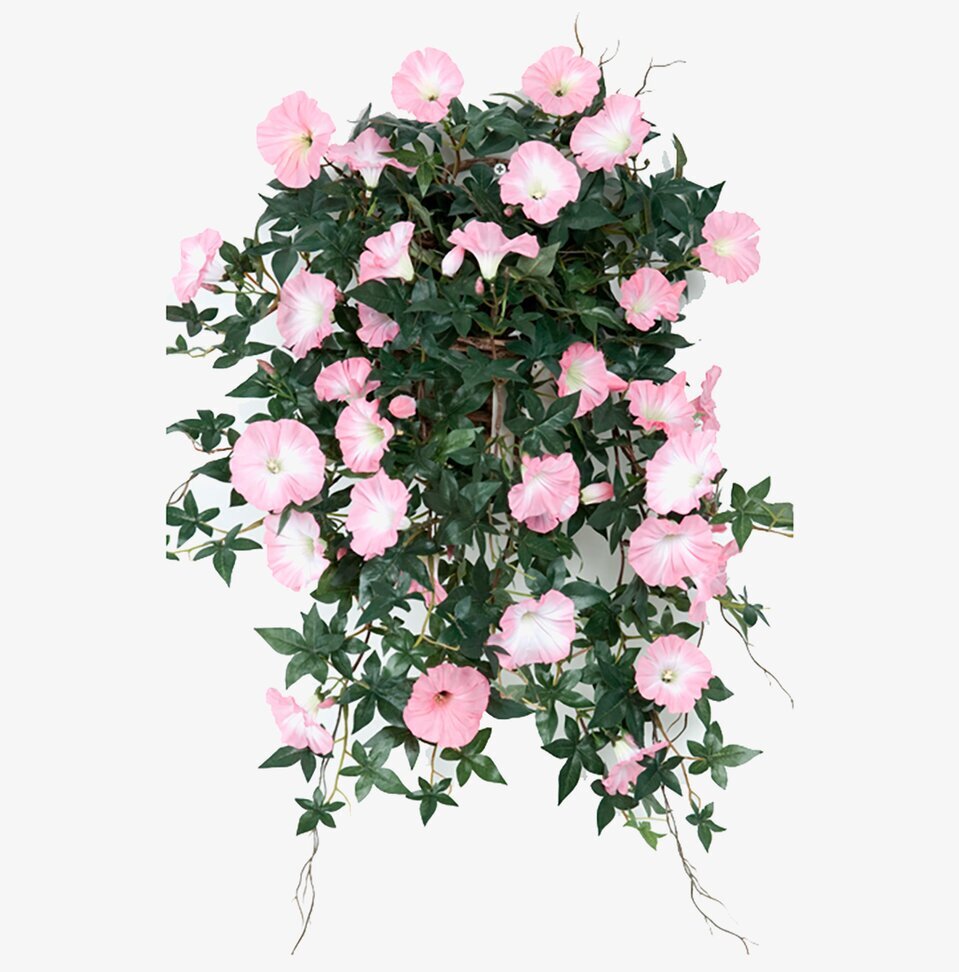 Blomma För Dagen Rosa från Mr Plant med rosa blommor