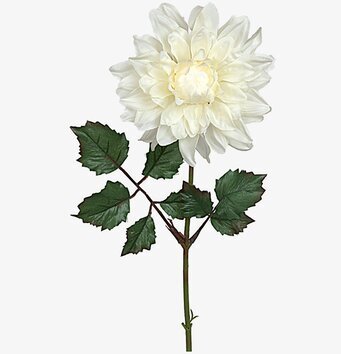3-pack - Dahlia Vit 45 cm från Mr Plant i elegant detalj