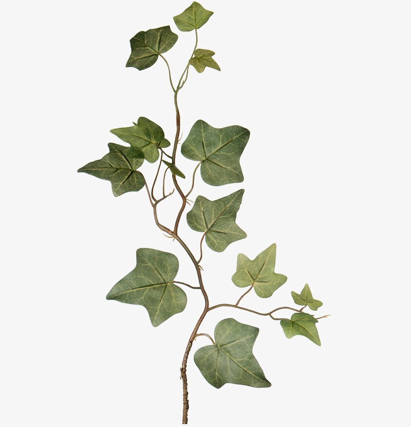 Murgröna 45 cm från Mr Plant, naturtrogen konstgjord växt