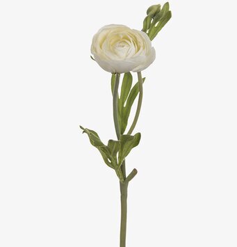 Ranuncel Vit 34 cm - 5-pack Mr Plant Konstväxter Konstblommor Plastväxter Plastblommor