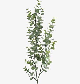 Eucalyptus 74 cm från Mr Plant, realistisk konstgjord växt