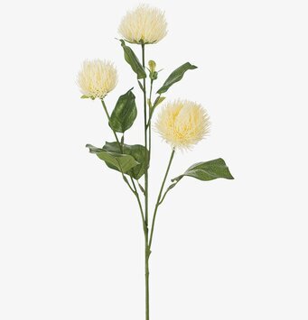 Kvist Vit 60 cm från Mr Plant med naturtrogna detaljer