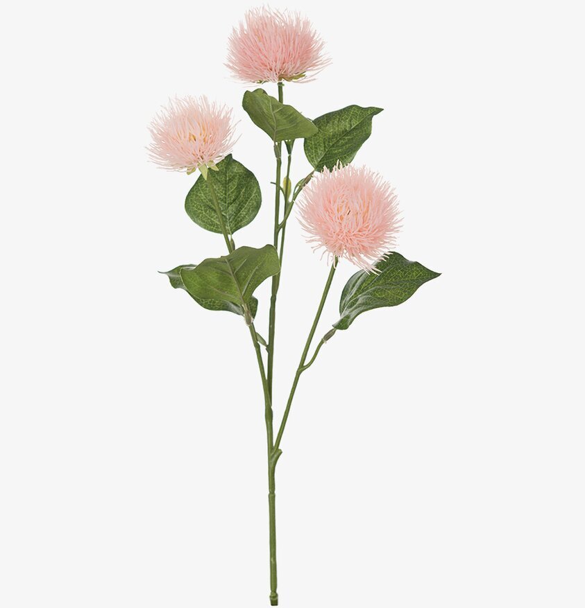 Kvist Rosa 60 cm - 3-pack från Mr Plant med rosa blommor