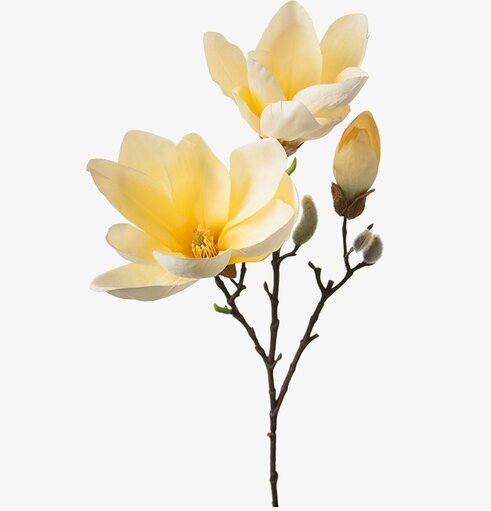 Magnolia 65 cm - 3-pack från Mr Plant, konstgjorda blommor