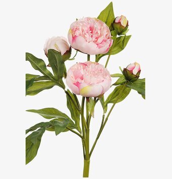 Konstgjord blomma Pion 40 cm från Mr Plant med vit bakgrund