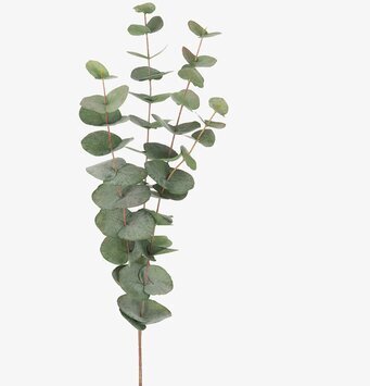3-pack - Eucalyptus 60 cm från Mr Plant, konstgjorda kvistar