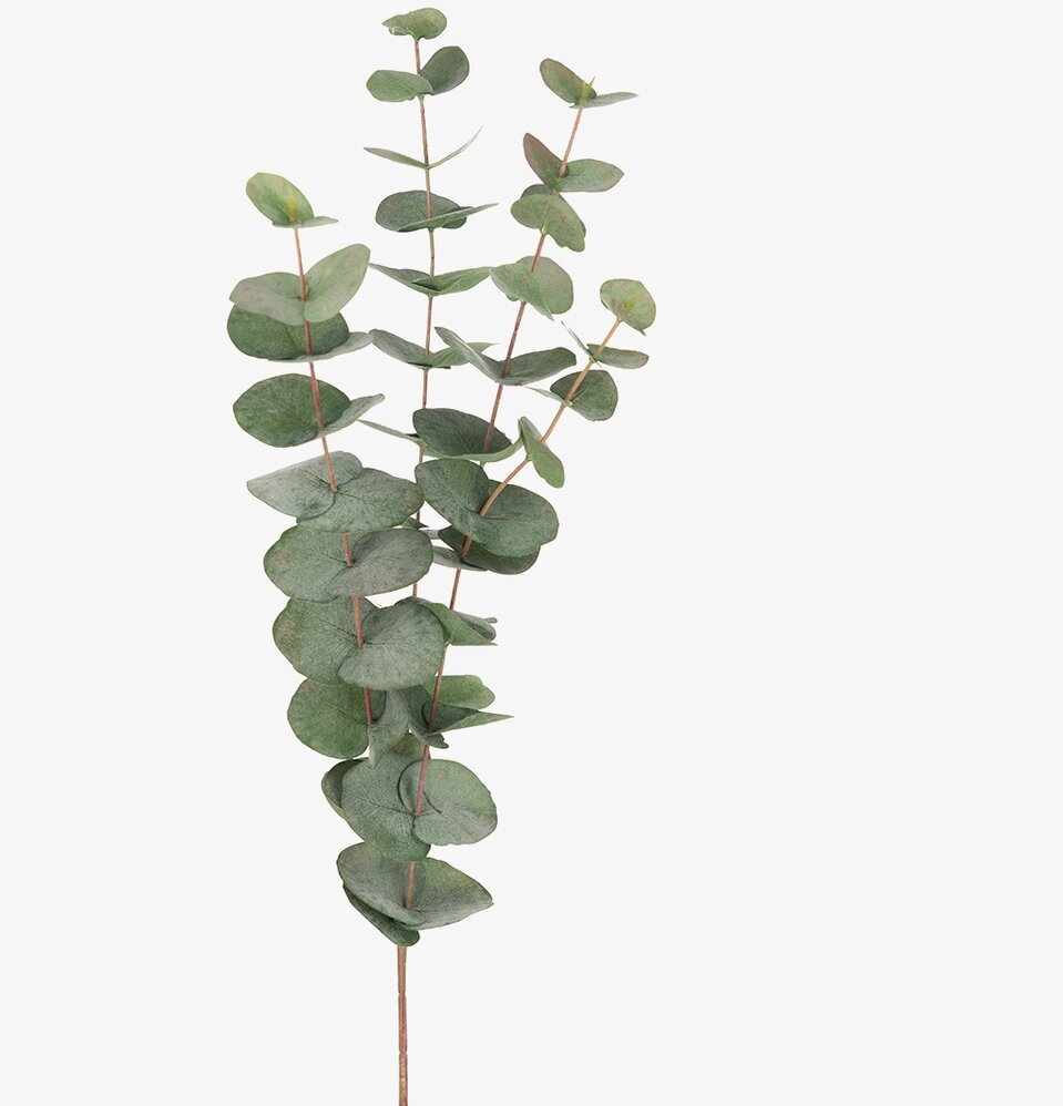 3-pack - Eucalyptus 60 cm från Mr Plant, konstgjorda kvistar