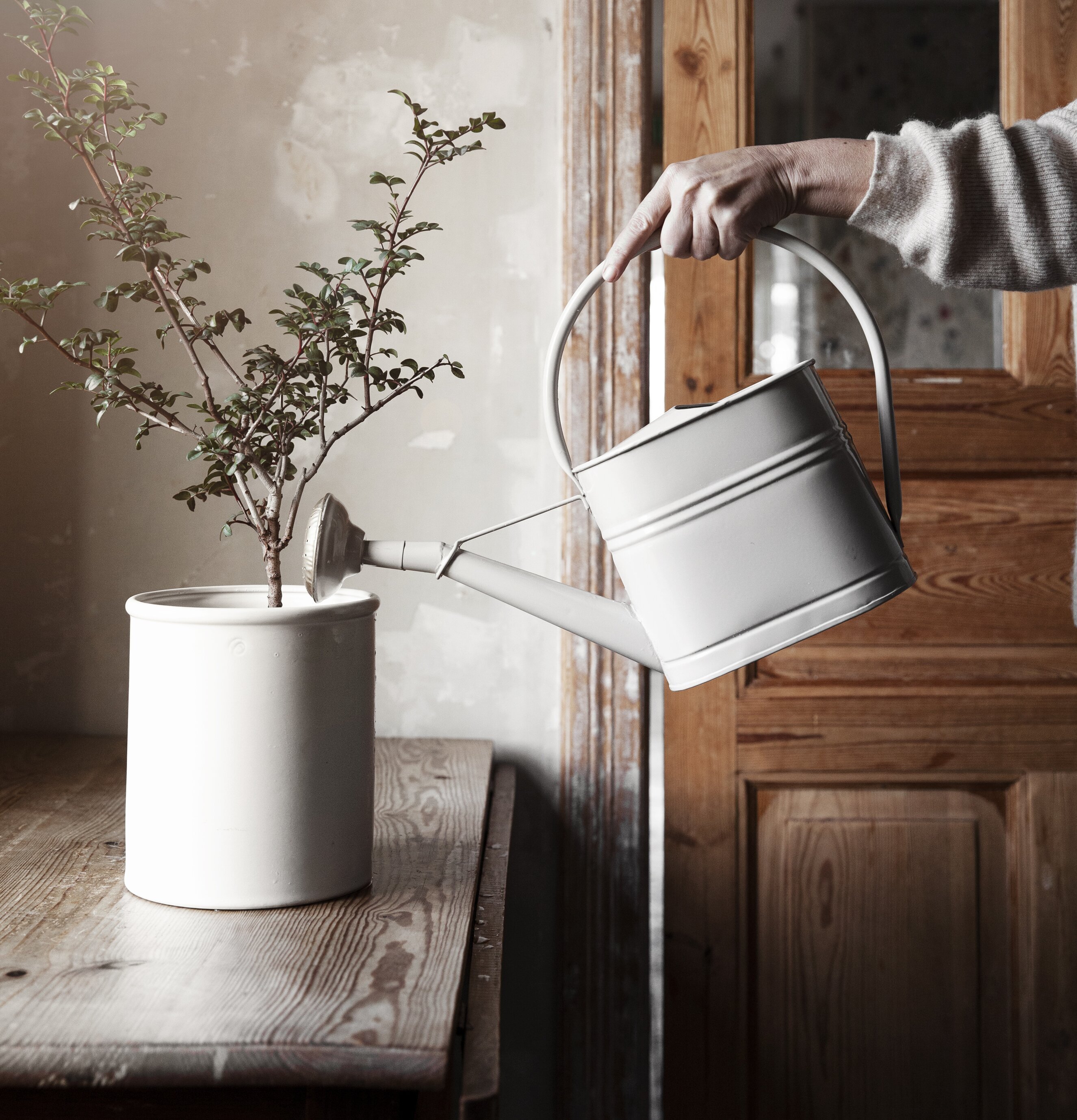 Vattenkanna Svart Ernst från Ernst i en hemtrevlig miljö