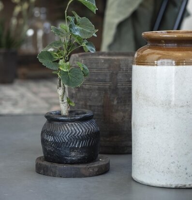 Träfat Chapati Unika från IB Laursen med kruka och växt