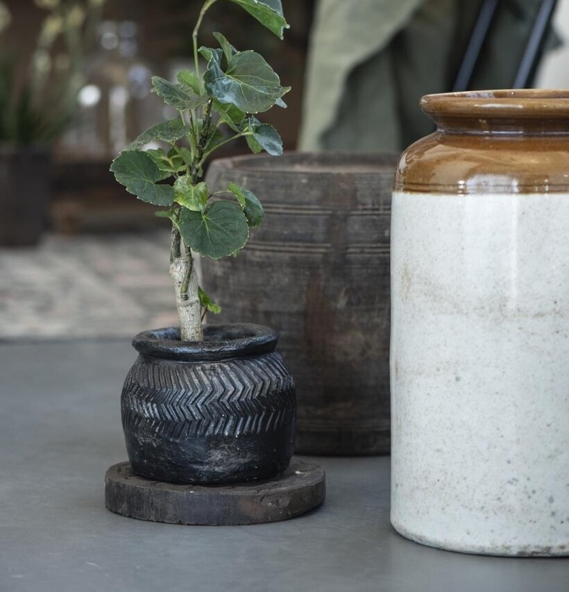 Träfat Chapati Unika från IB Laursen med kruka och växt