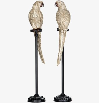 Papegoja Stativ Champagne från A Lot Decoration, elegant design