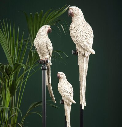 Papegoja Stativ Champagne från A Lot Decoration i tropisk miljö