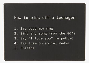 Metallskylt - Teenager från IB Laursen med humoristisk text