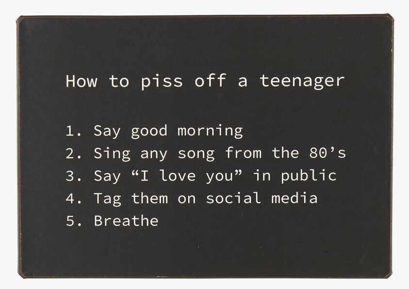 Metallskylt - Teenager från IB Laursen med humoristisk text