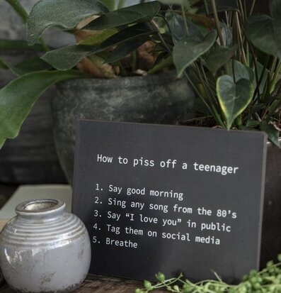 Metallskylt - Teenager från IB Laursen på rustik träyta