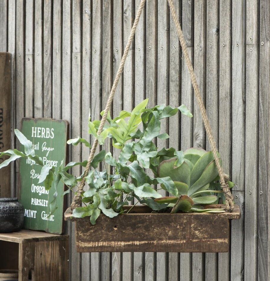 Hängande Träbricka Unika från IB Laursen med gröna växter