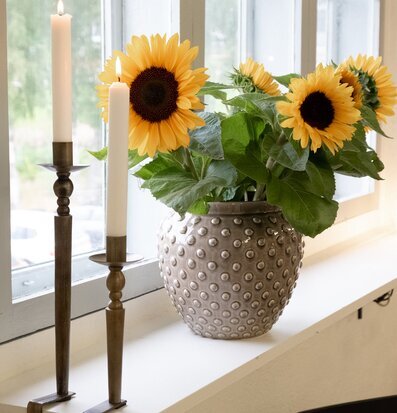 Kruka Johannes Grå Stor från Strömshaga med solrosor