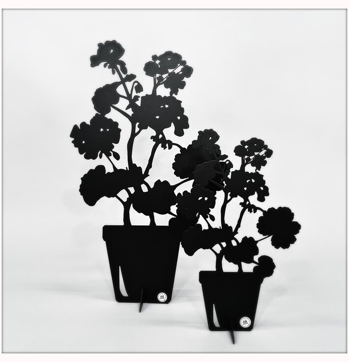 #ÄlskaPlåt Pelargon Svart från Älskaplåt: två plåtstilleben