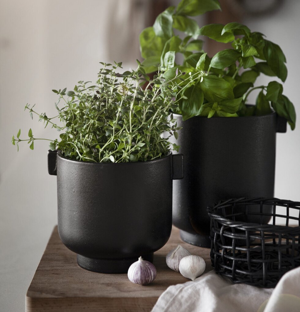 Kruka Med Öra Svart från Ernst på ljus träskiva med växter