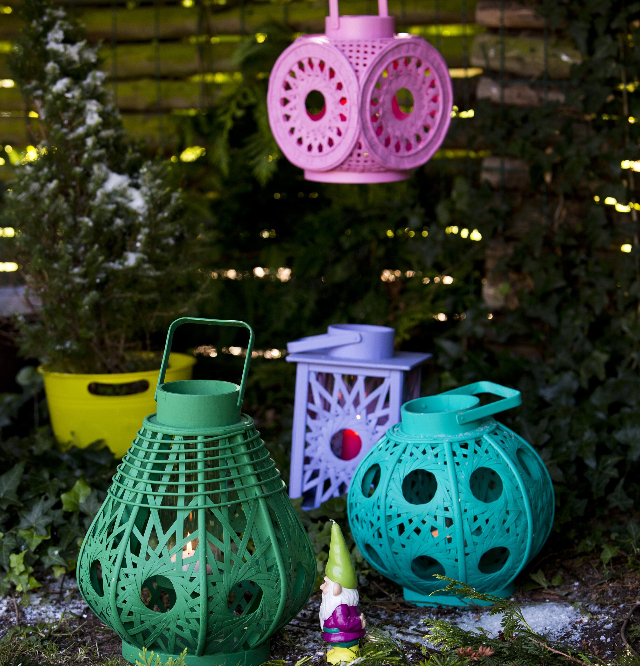 Ljuslykta Grön från Rice i vintrig naturmiljö med snö