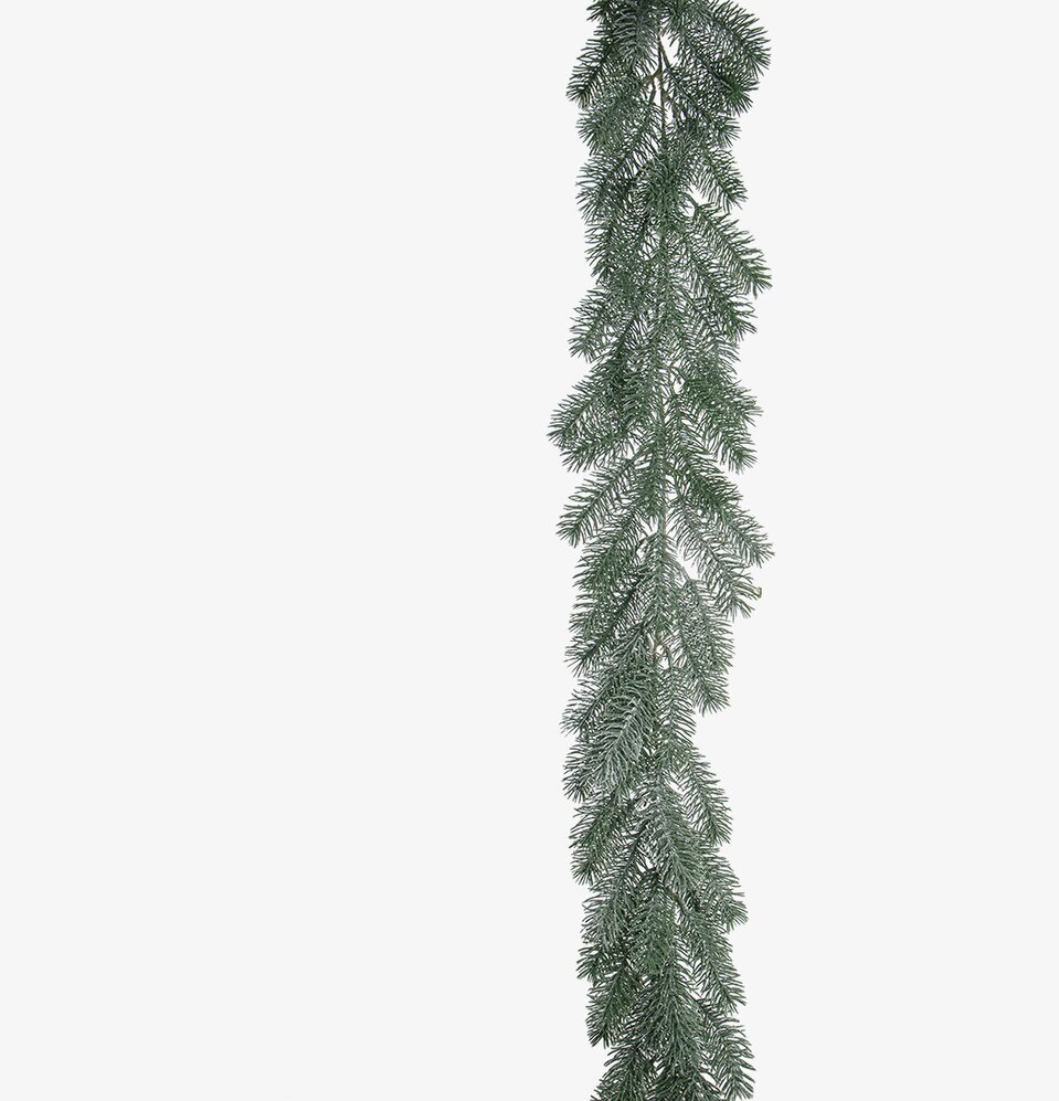 Grangirlang Med Frost från Mr Plant med frostiga detaljer