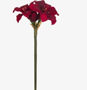Amaryllis Röd från Mr Plant med realistiska röda blommor