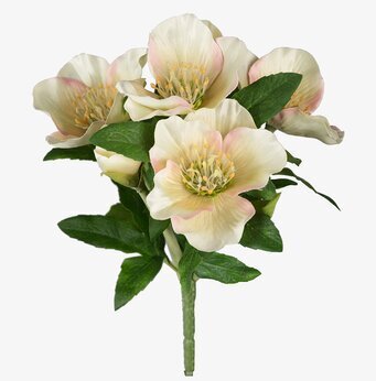 Julrosbukett Vit/Rosa från Mr Plant med vita och rosa blommor