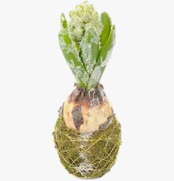 Hyacint Med Snö från Mr Plant, konstväxt med vintersnö