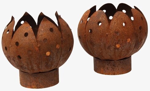 Marschall Tulpan Rost från Eldgarden i rustik design