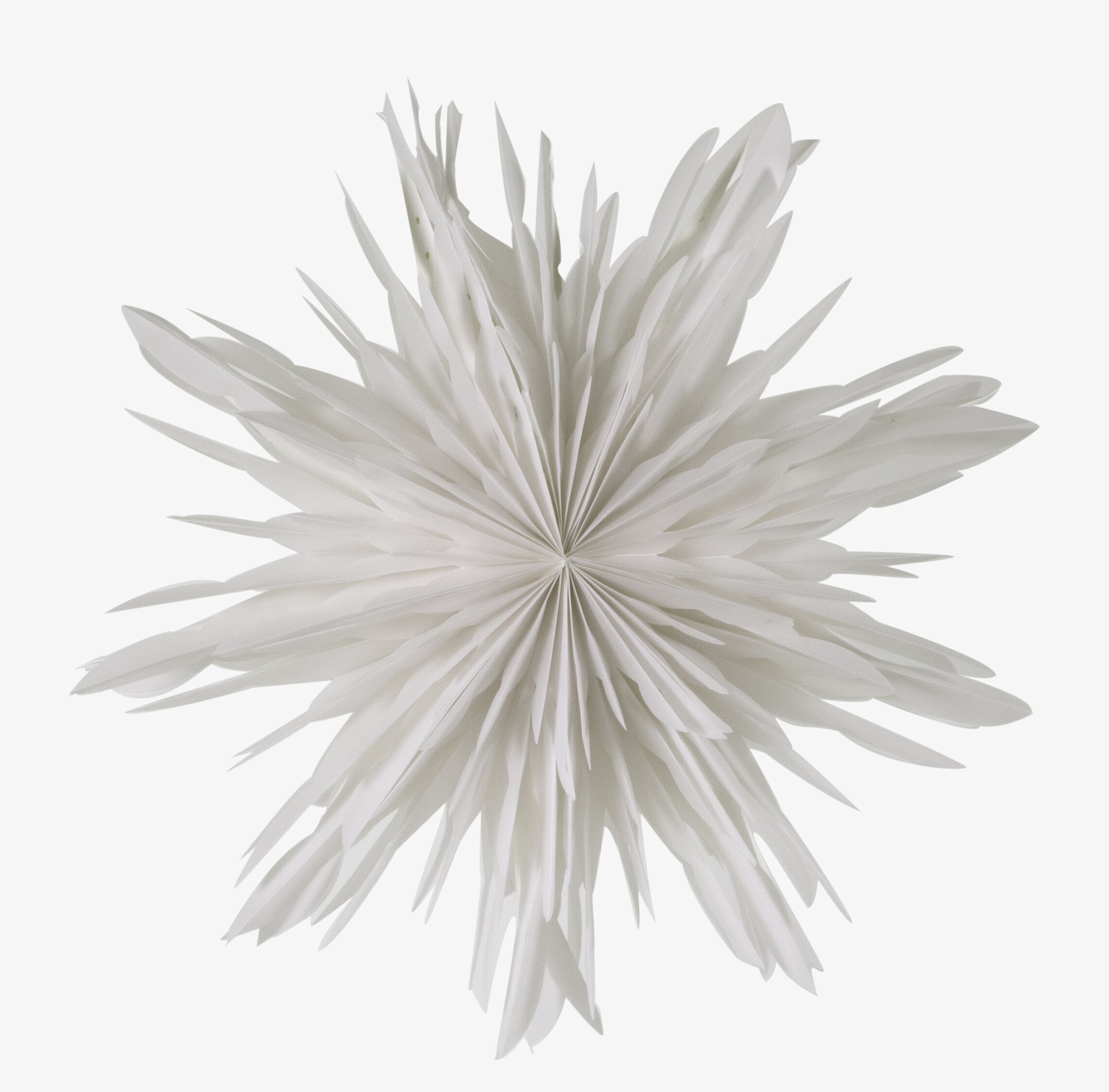 Julstjärna Reykjavik 60 White från Watt och Veke i fönster