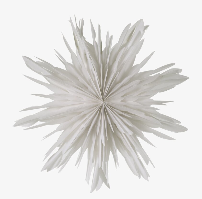 Julstjärna Reykjavik 60 White från Watt och Veke i fönster