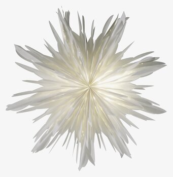 Julstjärna Reykjavik 60 White från Watt och Veke i fönster