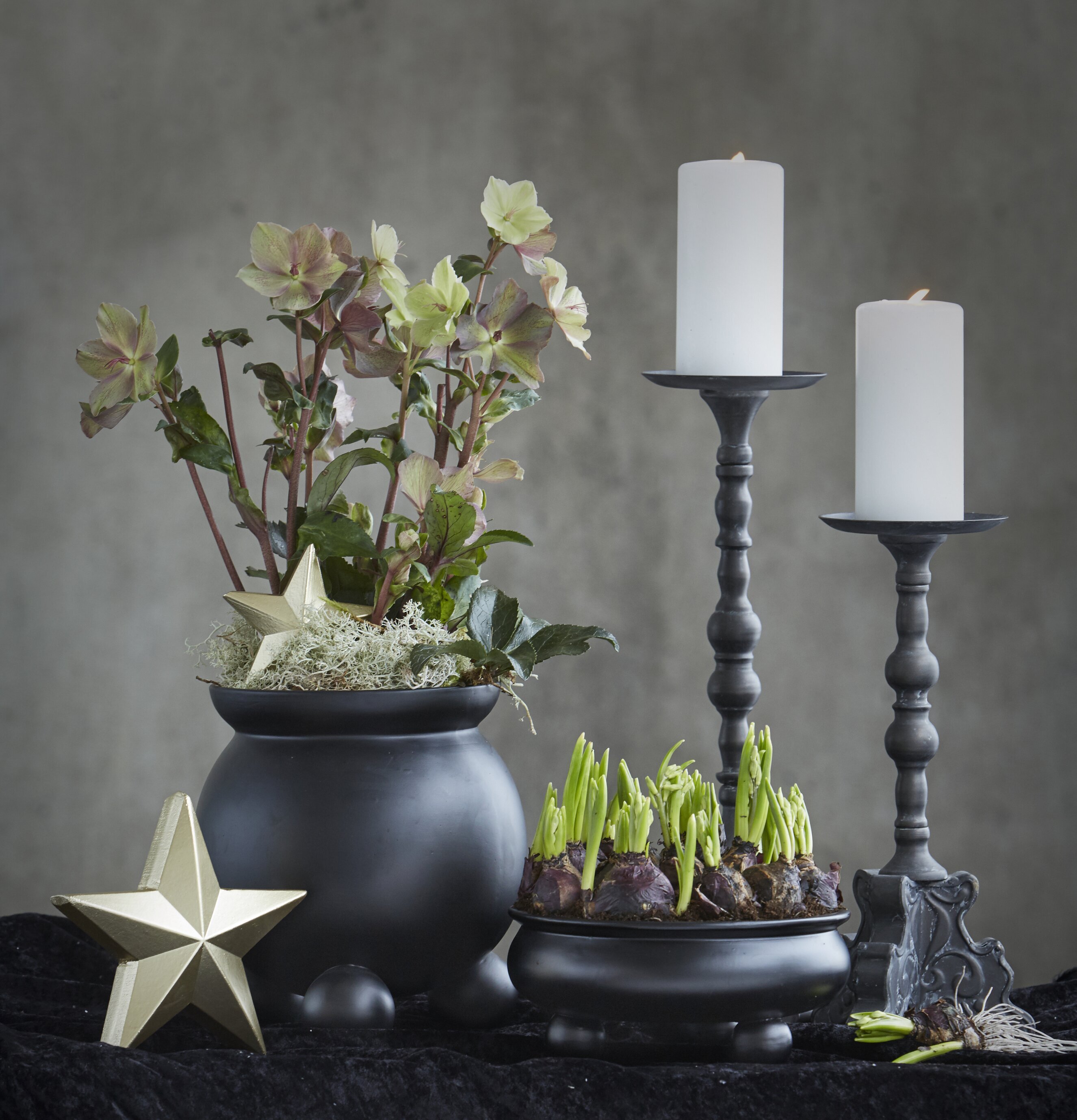 Kruka Anya L Svart från Wikholm Form med gröna växter