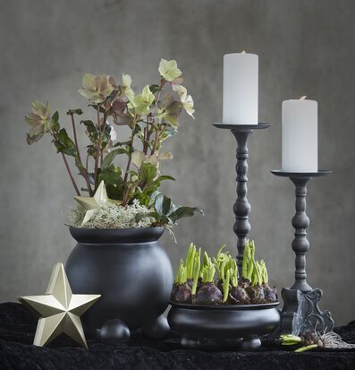 Kruka Anya L Svart från Wikholm Form med gröna växter