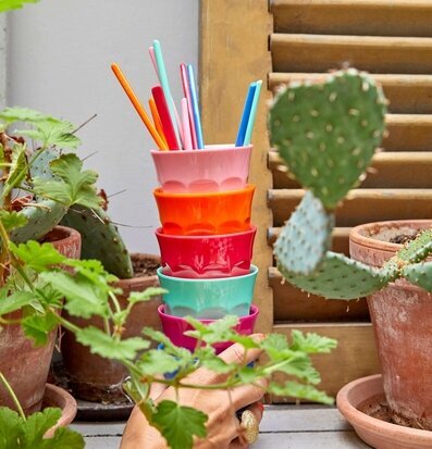 Foto av färgglada muggar omgivna av frodiga växter