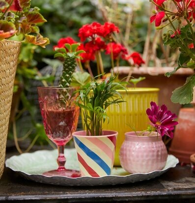 Foto av livfull trädgårdsscen med färgglada detaljer