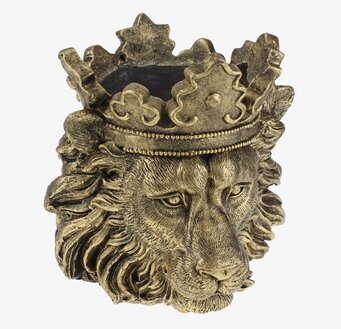 Kruka Clarence Gold med lejonhuvud från Werner Voss