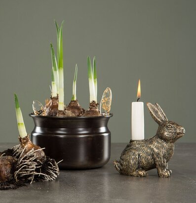 Ljusstake Hare Brun/Guld från A Lot Decoration med växter