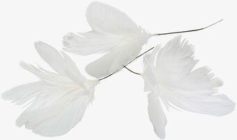 Fjäder/Tråd Blom Vit 12 st A Lot Decoration Övrig prydnad/dekoration för inredning innemiljö