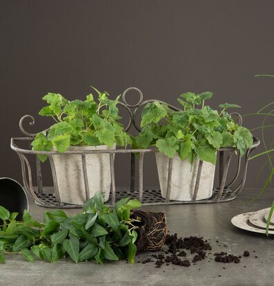 Blomlåda Korg Grå Set/3 från A Lot Decoration med växter