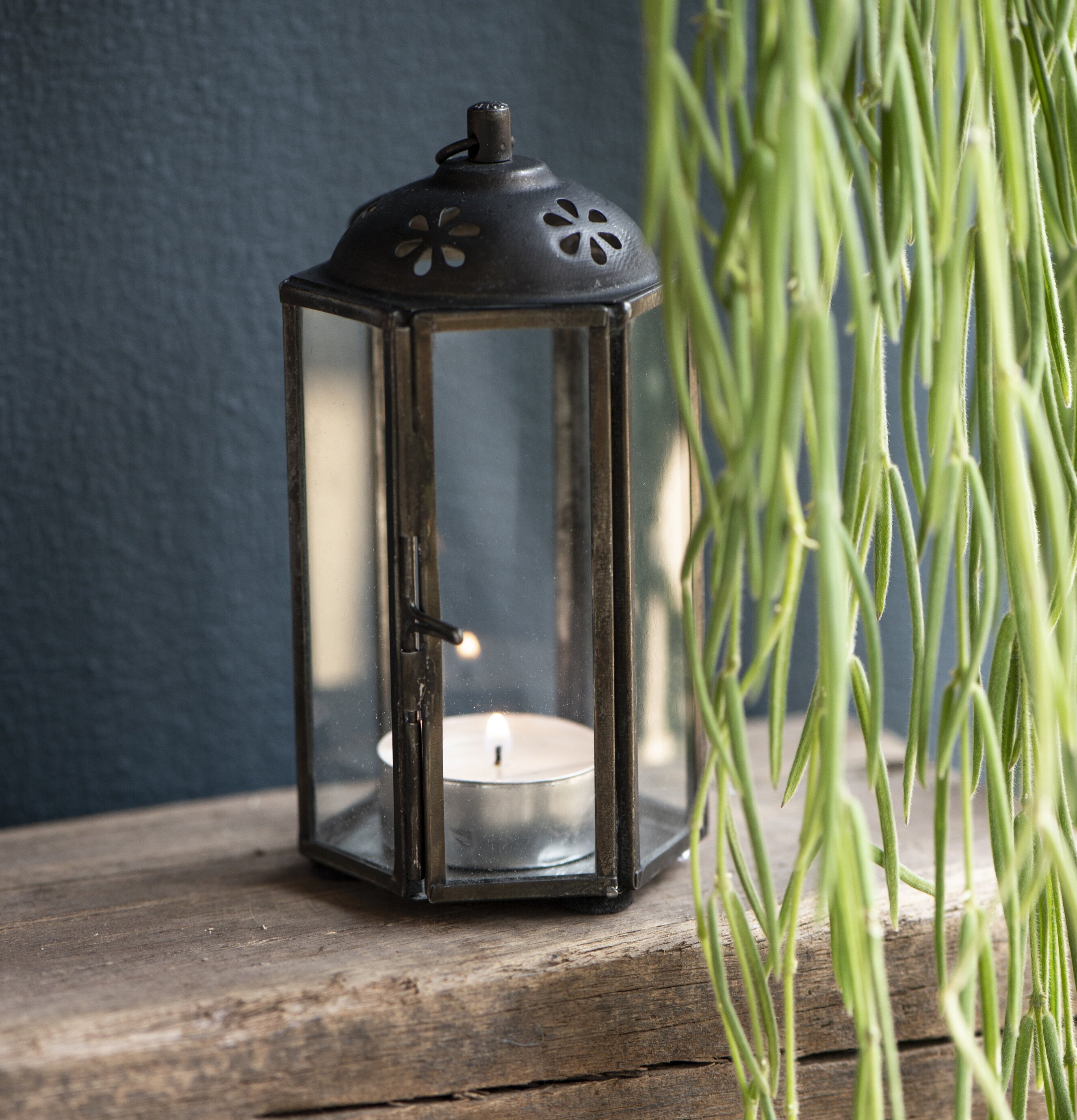 Lanterna Värmeljus Svart från IB Laursen på träyta med växt