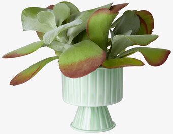 Blomkruka Sage Green Medium från Rice med grön växt