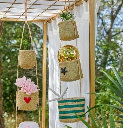 Hängande Korgar Star från Rice i naturnära miljö med växter