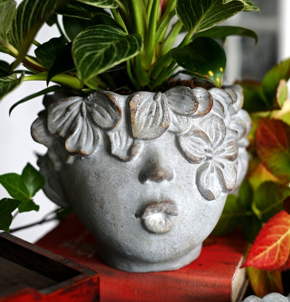 Kruka Adam Large från Miljögården med gröna blad